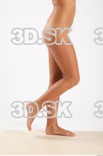 Leg reference of Libena 0006